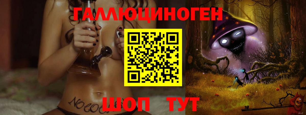 Псилоцибиновые грибы Psilocybine cubensis Щёлково
